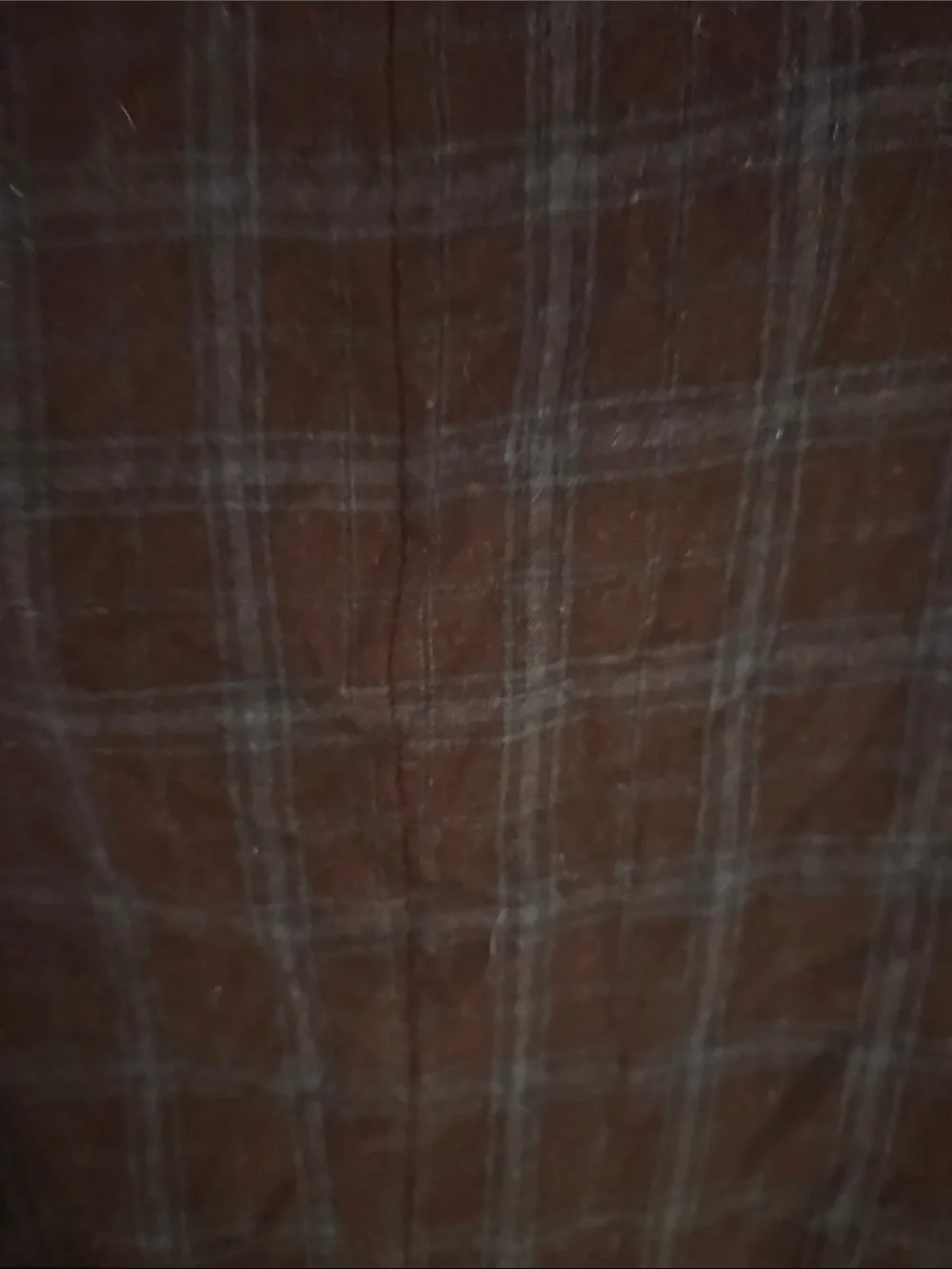 Ralph Lauren Brown Sport Coat with Blue Windowpane